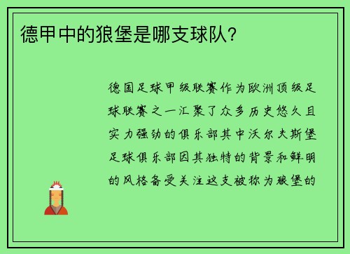 德甲中的狼堡是哪支球队？