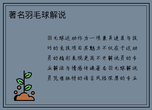 著名羽毛球解说
